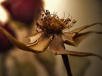 Nothing lasts forever